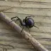 black-widow_009.webp image